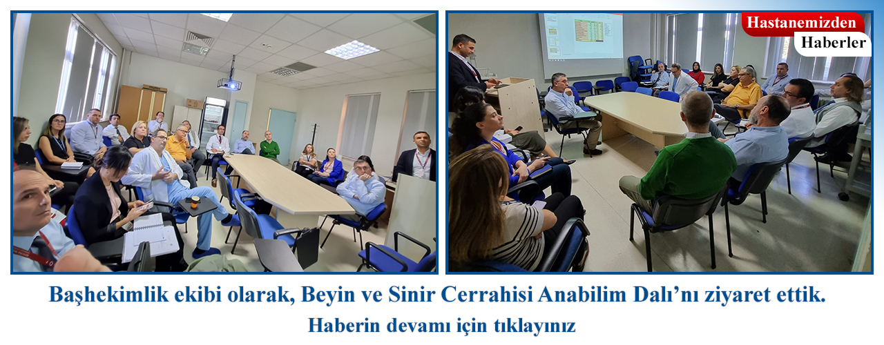 2 beyin