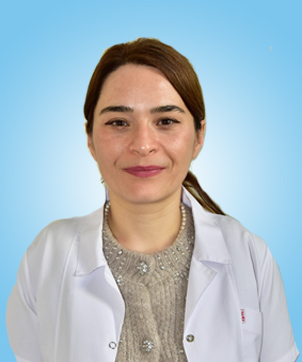 ayse colak
